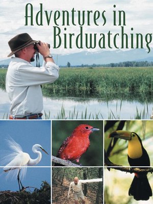 cover image of Adventures in Birdwatching